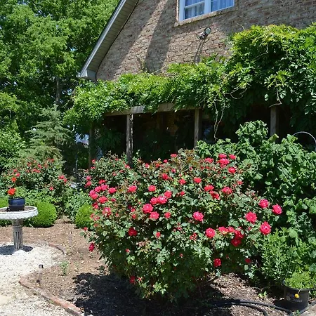 Rose Cottage Bed & Breakfast-3