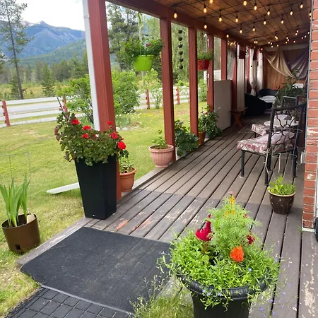 Rose Cottage Bed & Breakfast-3